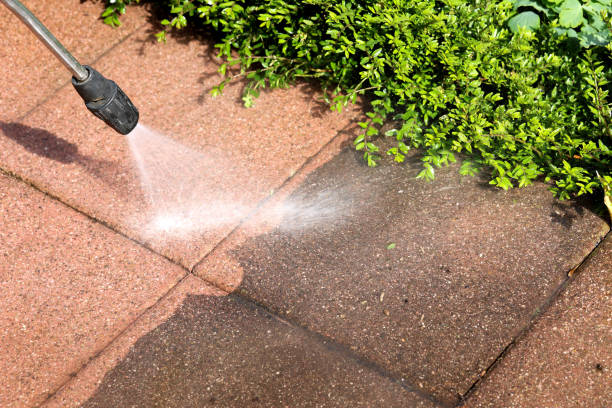 Best Sidewalk Pressure Washing  in Mayo, SC